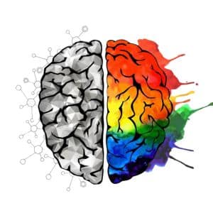 ציור מוח חצי צבעוני חצי שחור