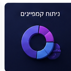 ניתוח קמפיינים